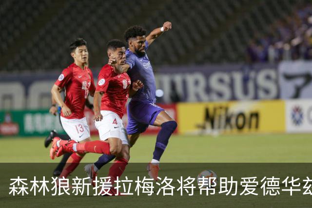 森林狼新援拉梅洛将帮助爱德华兹减轻进攻压力